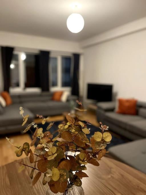 Beautiful Central Open Plan Living! Μάντσεστερ Εξωτερικό φωτογραφία